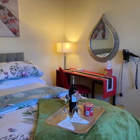 Mountroyal Victorian Studio Self Catering Apartment 3 ベルファスト エクステリア 写真