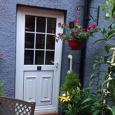 Mountroyal Victorian Studio Self Catering Apartment 3 ベルファスト エクステリア 写真