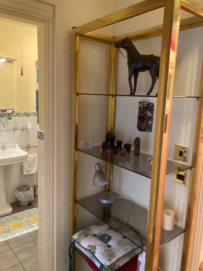 Mountroyal Victorian Studio Self Catering Apartment 3 ベルファスト エクステリア 写真