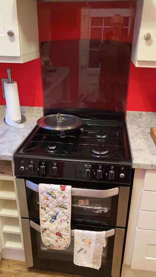Mountroyal Victorian Studio Self Catering Apartment 3 ベルファスト エクステリア 写真