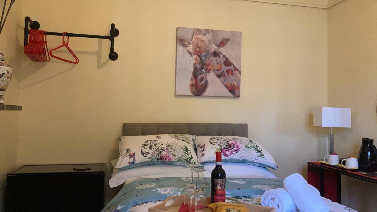Mountroyal Victorian Studio Self Catering Apartment 3 ベルファスト エクステリア 写真