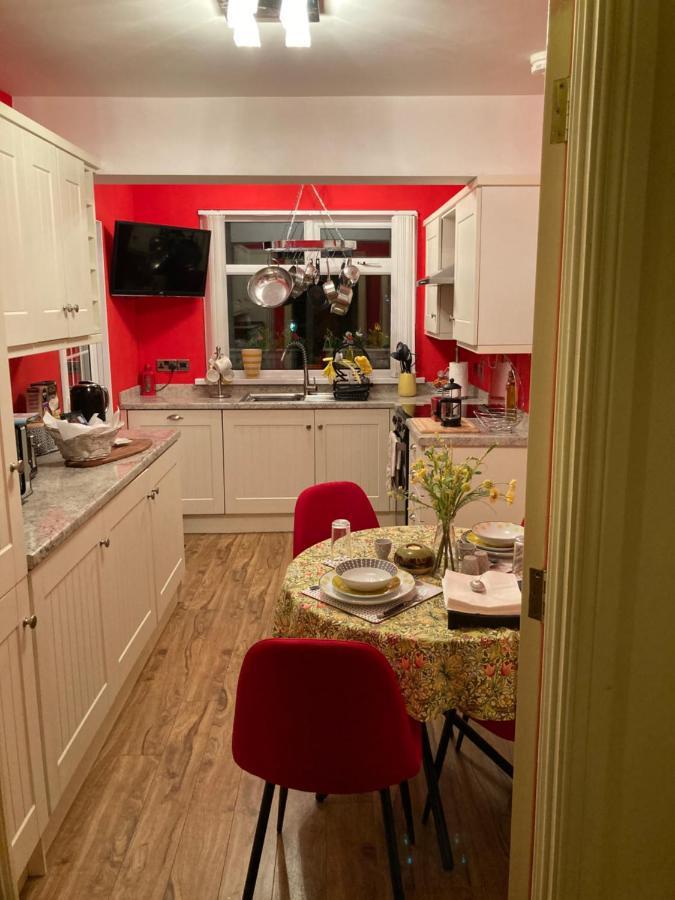 Mountroyal Victorian Studio Self Catering Apartment 3 ベルファスト エクステリア 写真
