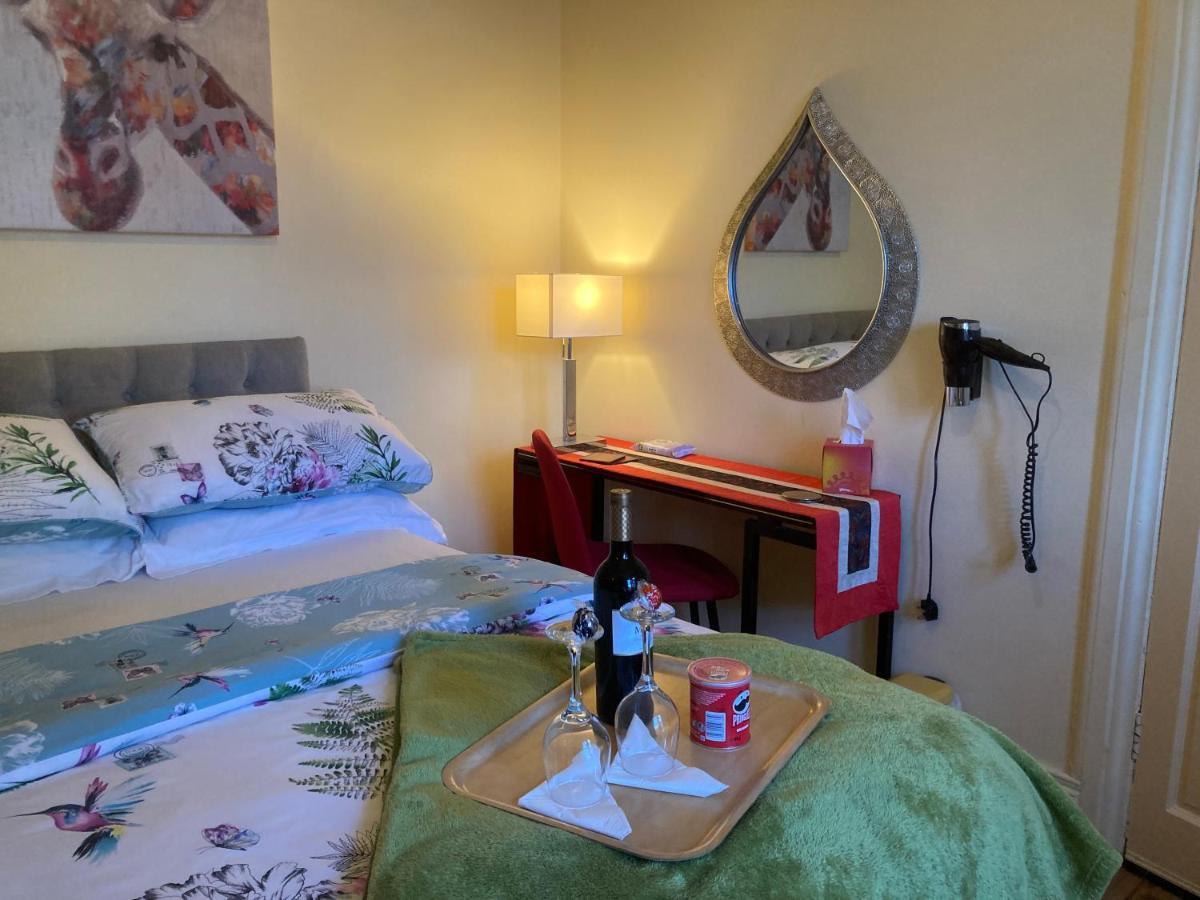 Mountroyal Victorian Studio Self Catering Apartment 3 ベルファスト エクステリア 写真