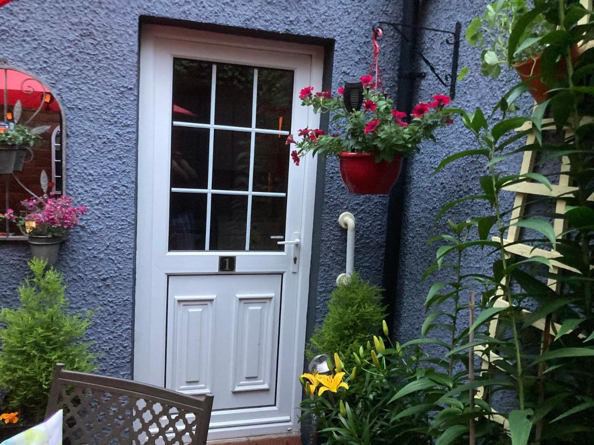 Mountroyal Victorian Studio Self Catering Apartment 3 ベルファスト エクステリア 写真