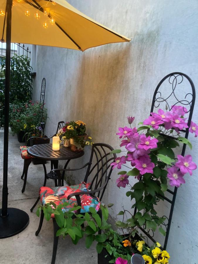 Mountroyal Victorian Studio Self Catering Apartment 3 ベルファスト エクステリア 写真
