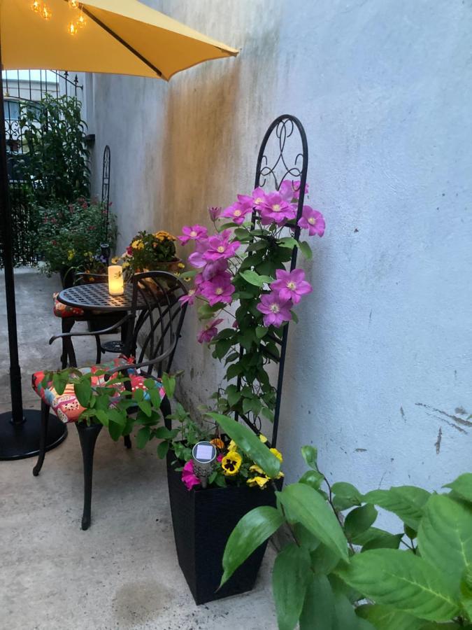Mountroyal Victorian Studio Self Catering Apartment 3 ベルファスト エクステリア 写真