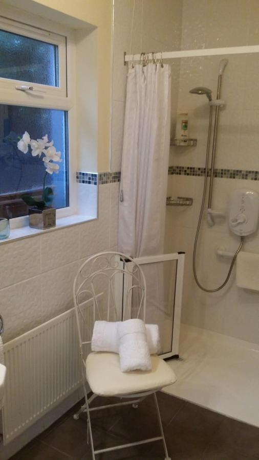 Mountroyal Victorian Studio Self Catering Apartment 3 ベルファスト エクステリア 写真